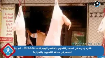 قفزة جديدة في أسعار اللحوم بالأقصر اليوم الأحد 10-8-2025.. كم بلغ السعر في منافذ التموين والجزارة؟